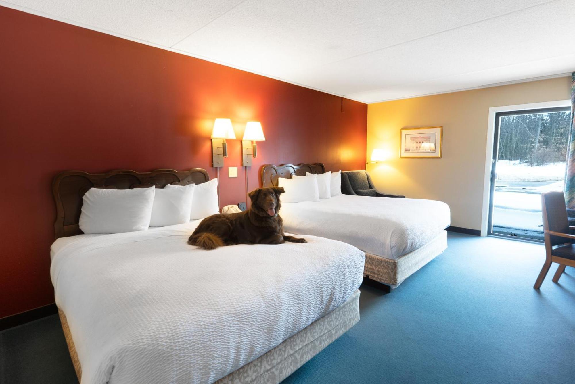 Fireside Inn & Suites Gilford Buitenkant foto