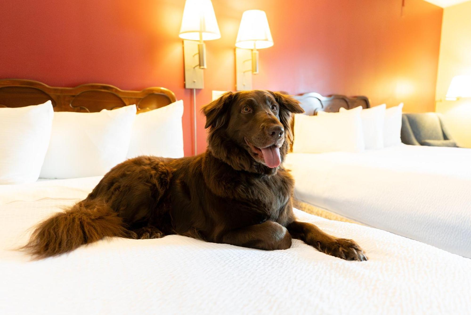 Fireside Inn & Suites Gilford Buitenkant foto